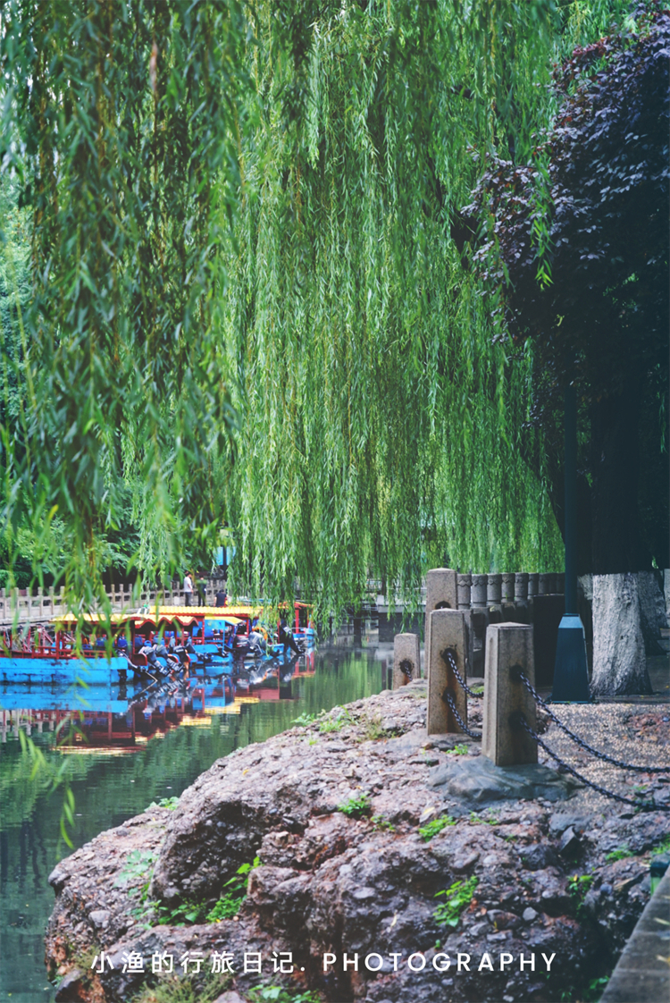 |这座泡在泉水里的省会城市，低调且优雅！满城美景，来了就难忘记