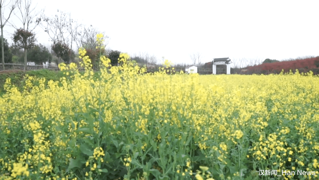 美丽|越“土”越美丽！新晋打卡地上线