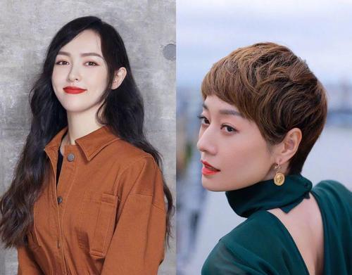 胡歌|胡歌即将开启“霸屏模式”,4部新作未播先火,女搭档均来头不小