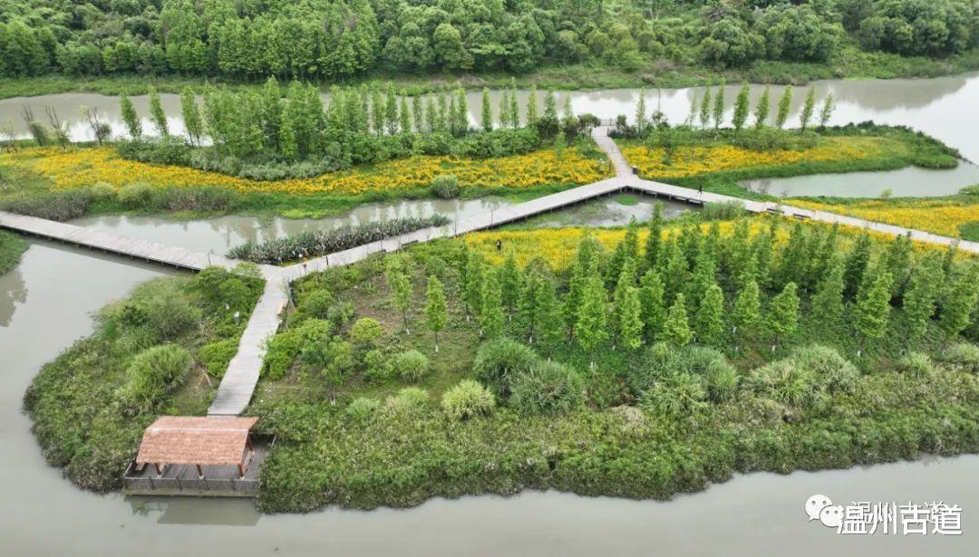 |惊艳了！这才是五月最上镜的地方！一起去打卡湿地初夏美景~