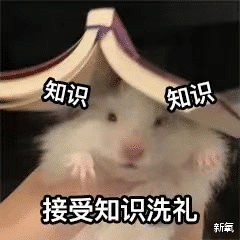 房琪|把张含韵说到抿嘴哭还明目张胆公费谈恋爱，这对CP咋能这么狂？！