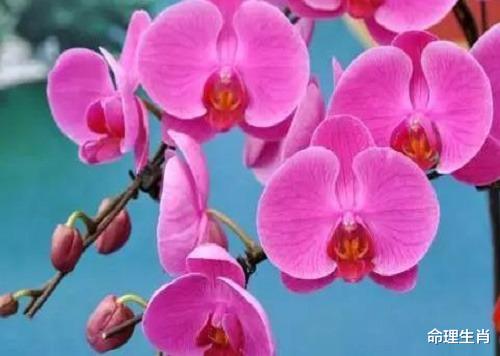 美国中情局|这几种十神,组合搭配,最适合的职业