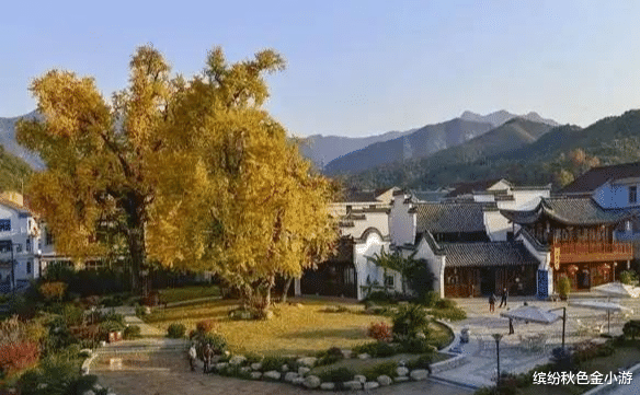 浙江省|推荐浙江八大最美古村落