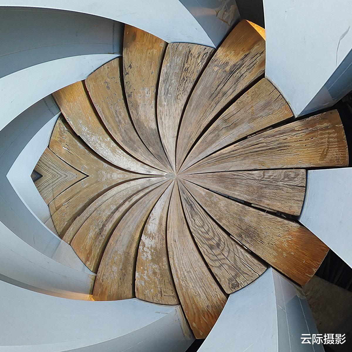 iPhone14|投石问路:iQOO 10 Pro镜头下的奥森公园美景