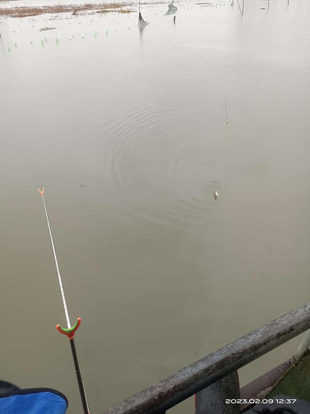 穿衣搭配|昨夜雨疏风骤,今天小鱼难嗅!