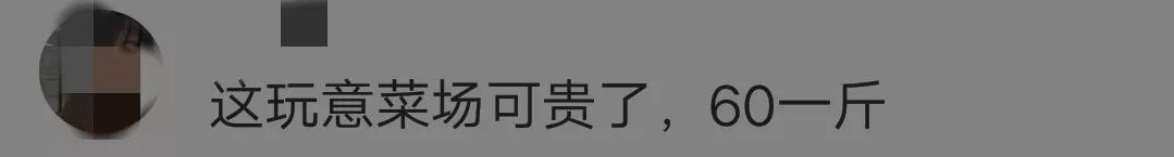 张颂文|“展翔”张颂文,晒院中两颗20年的老树,网友:好吃,就是有点贵