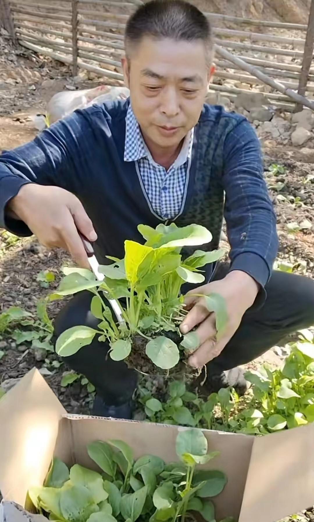 |醉酒怒推姚师兵!许田不和又传新细节,姚威直播回应:子虚乌有