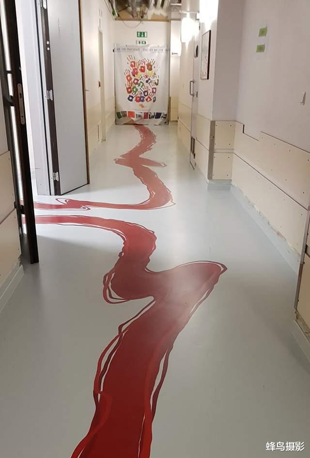 40个国外的奇葩设计，公厕小便池带盖，马桶对着坐，电梯要自己走