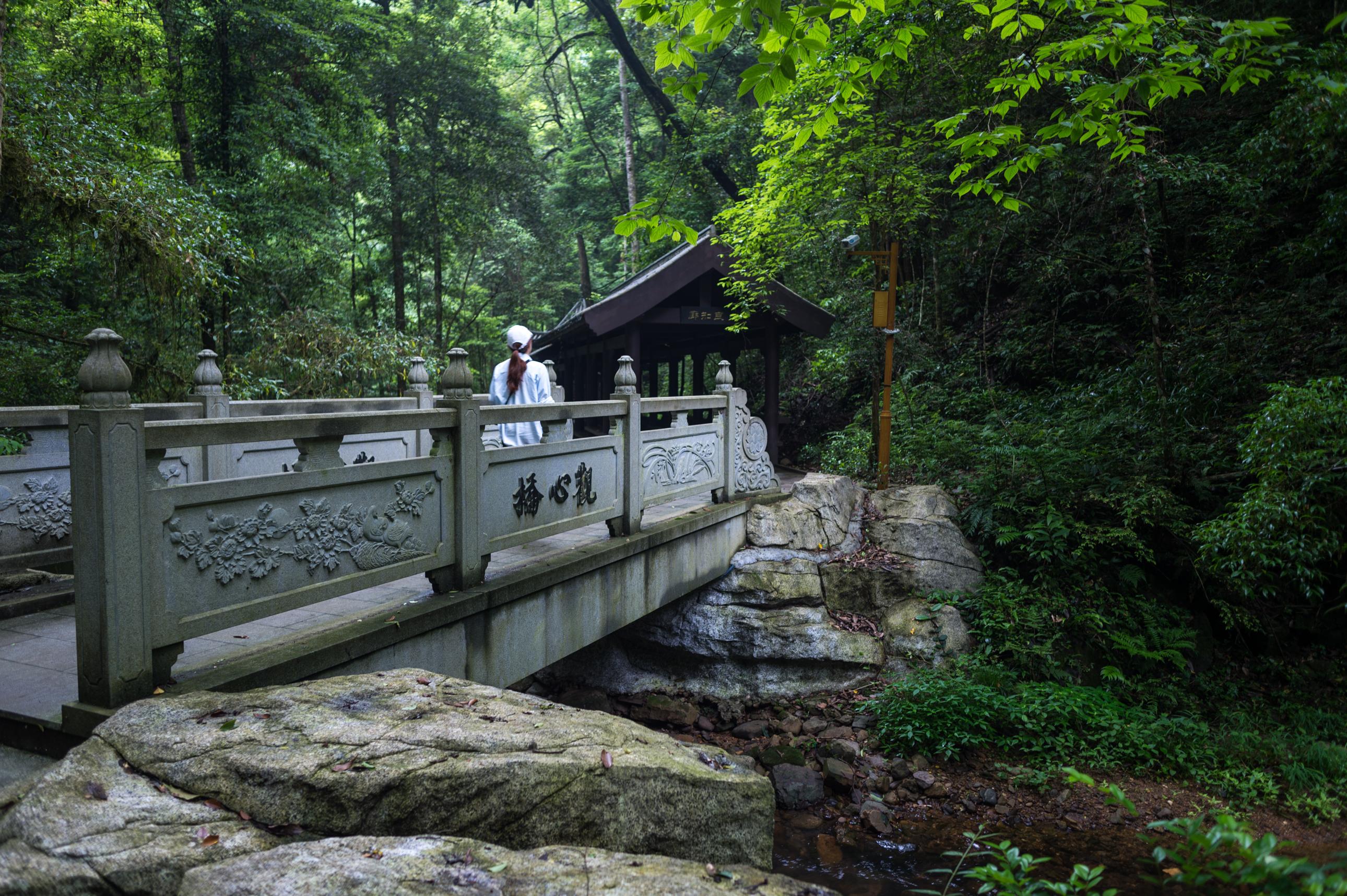 江西|我国距离县城最近的国家森林公园，就在江西，你是否去过？