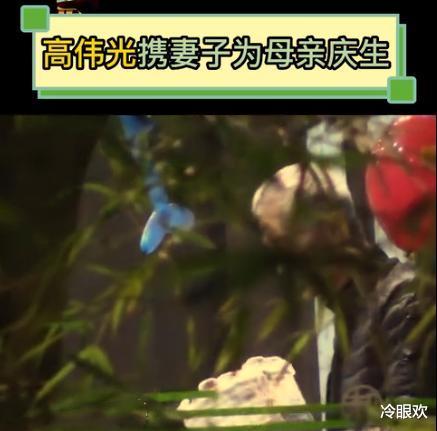 高伟光|高伟光怀疑是带着老婆去给爸妈过生日！近照雅俗共赏，席间闲聊连篇好近