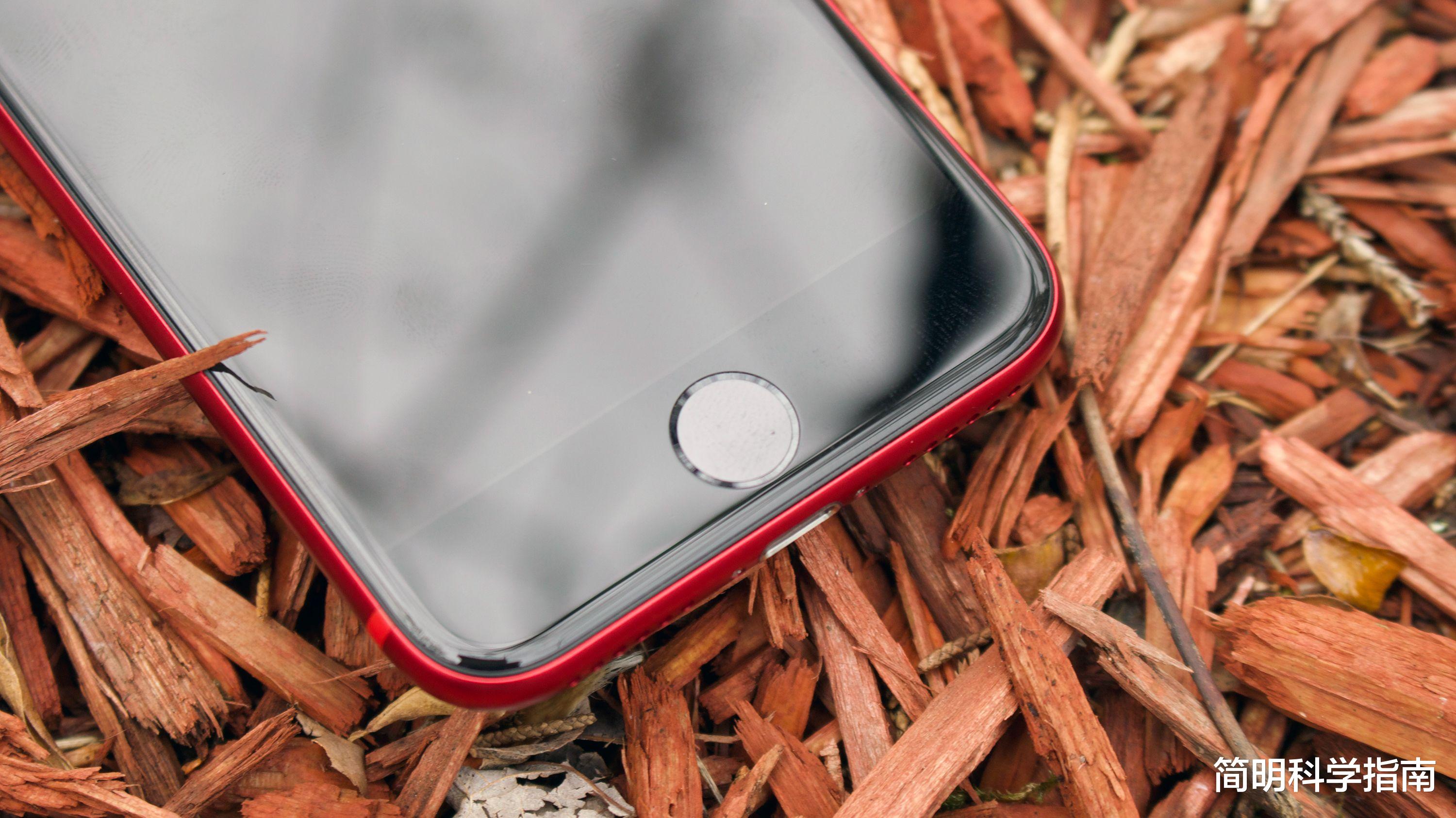 iPhoneSE|“便宜货”iPhone SE3将于3月8日发布，比iPhone 13差在哪里？