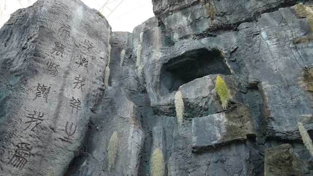 广西|又是一年赏荷季,荷都金湖莲叶田田