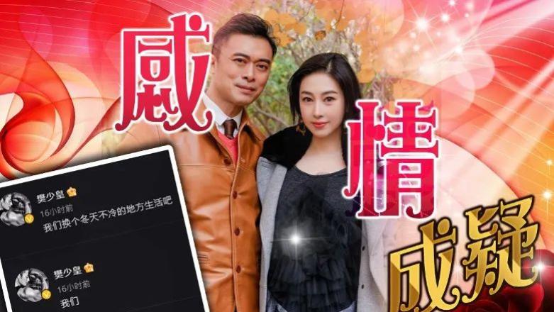 樊少皇|樊少皇自曝“离婚”真相，跪榴莲求贾晓晨原谅