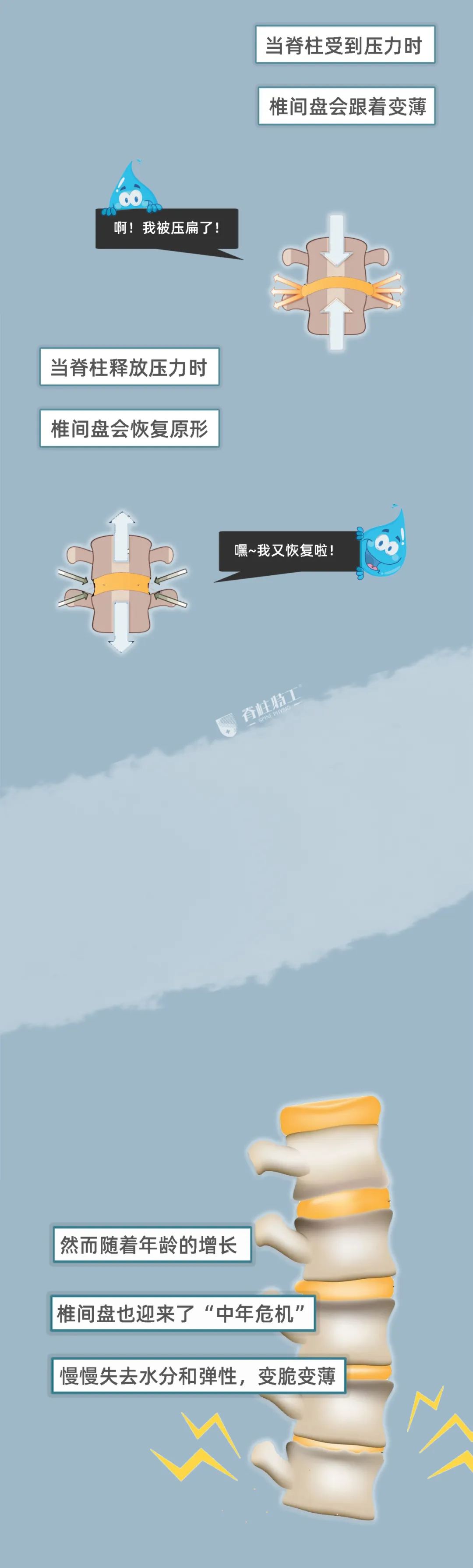 |「一图看懂」你的腰间盘是怎么“崩坏”的？腰突的症状由轻到重，你知道吗？