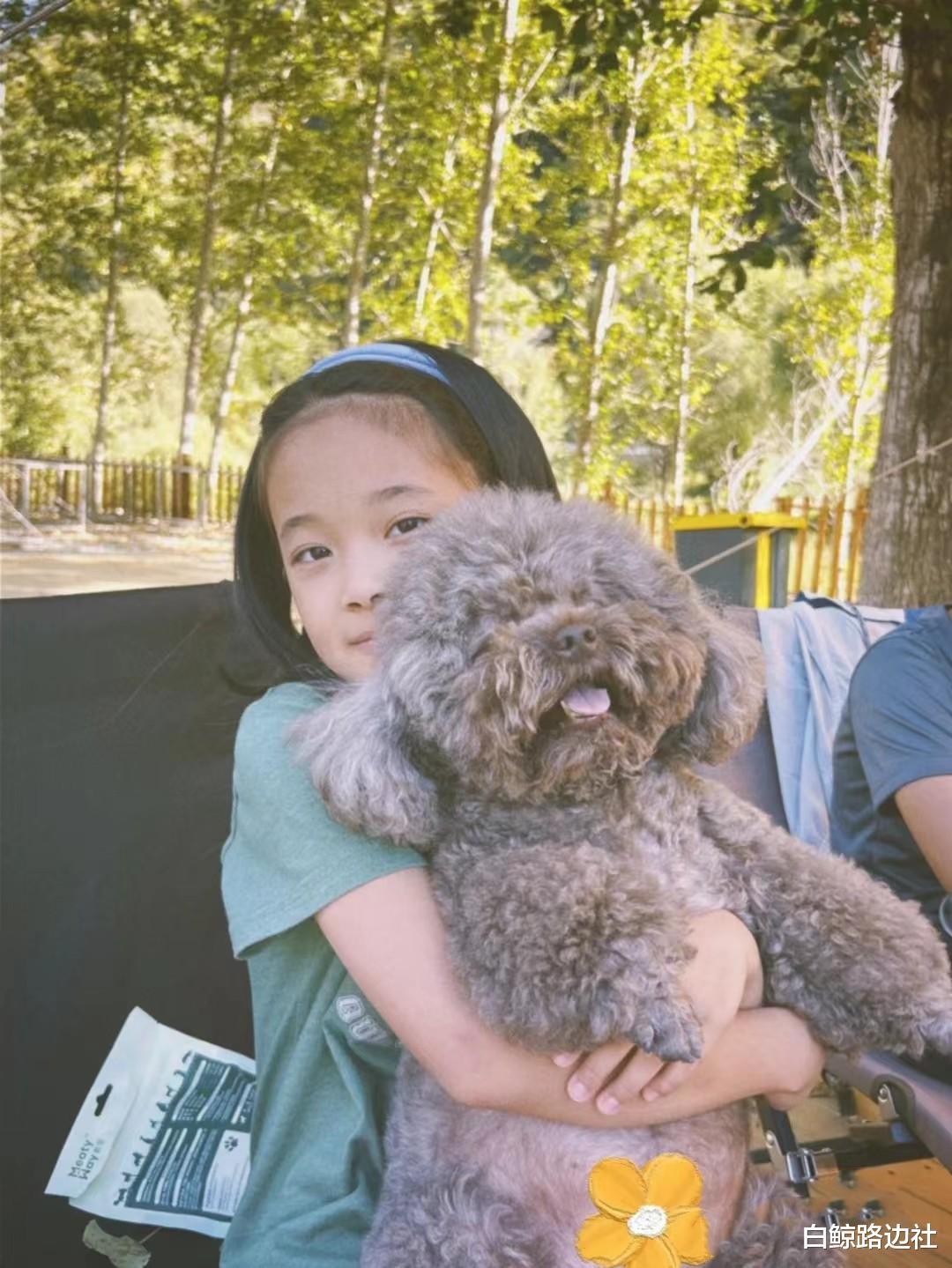 梅婷|演员梅婷带一对儿女露营!9岁女儿继承其美貌,曾和王俊凯演电影