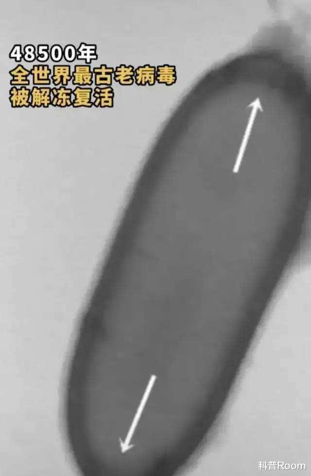 沉睡48500年的古病毒复活!潘多拉魔盒已开?人类面临新的挑战?