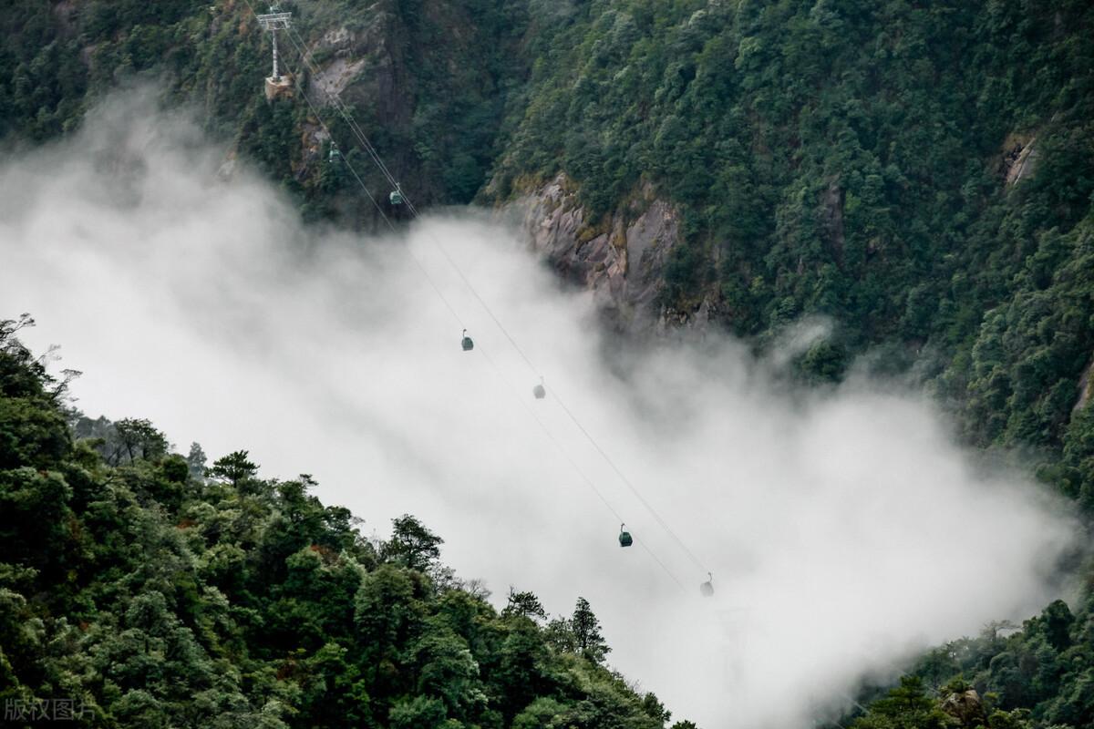 荷花|郭进拴|故乡的抱玉河