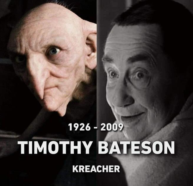 哈利·波特|很难相信,哈利波特中的18位演员已经不在了