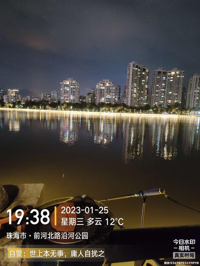 鳊鱼|小鱼群里的巨物，钓友这次超威武