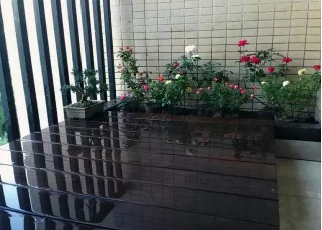 太有才了!朋友在自家阳台砌了一个金鱼池,确实很漂亮