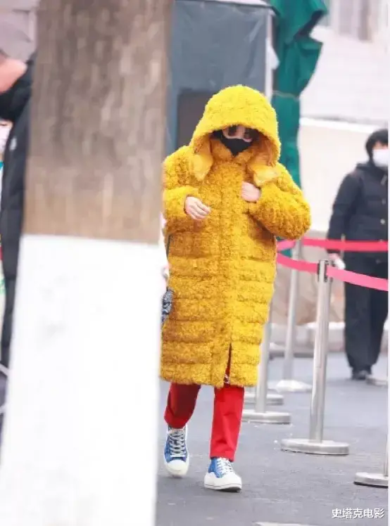 春晚|春晚彩排：刘涛大气，赵丽颖可爱！而最大的赢家却是这两位女士