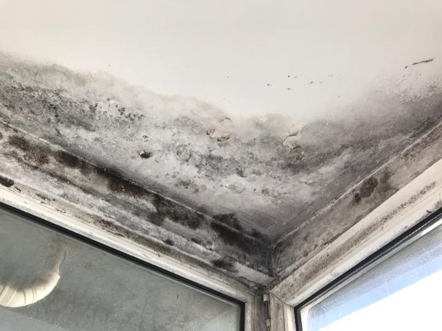 |一楼住了三年,顶楼住了两年,说一说我的居住体验