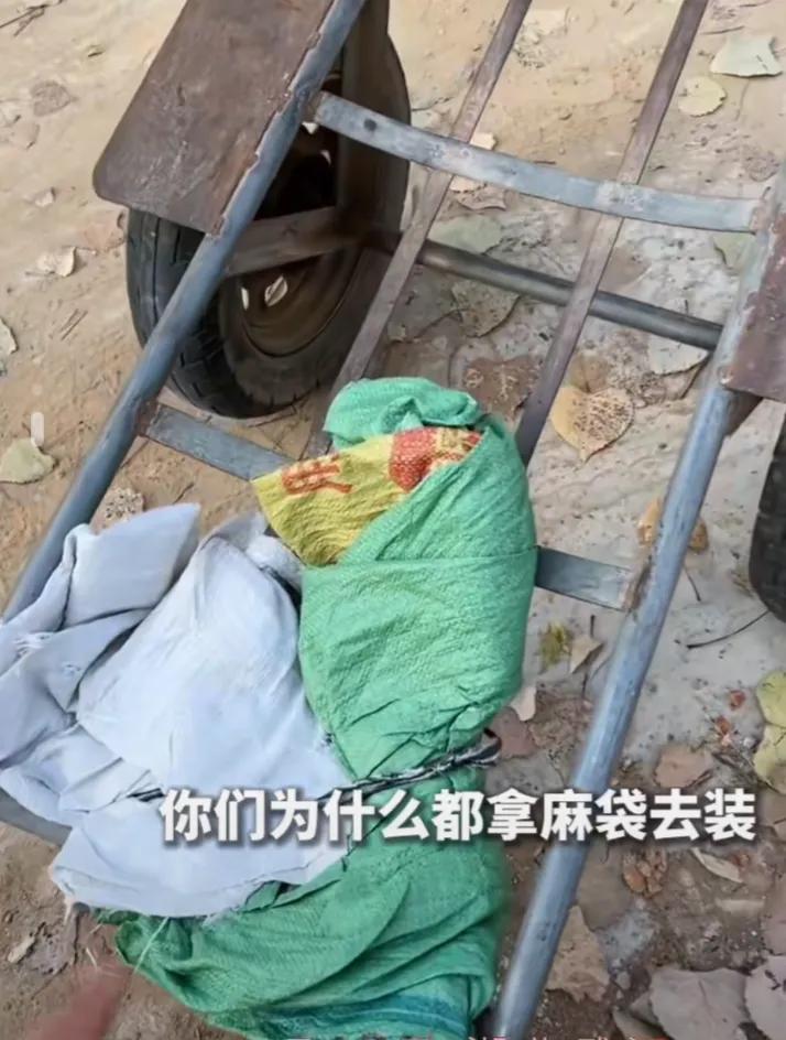村民组团偷盗南瓜,被抓后态度嚣张跋扈,女子:法律会制裁你们的