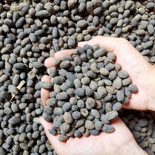 |关于便秘,全网最全中医辩证(附调理)