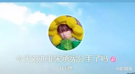 刘亦菲|他俩不会是合约情侣吧？