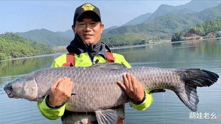 |为凑钱买个鱼箱，丈夫竟然捡了一个月的废品！网友：史上最悲催