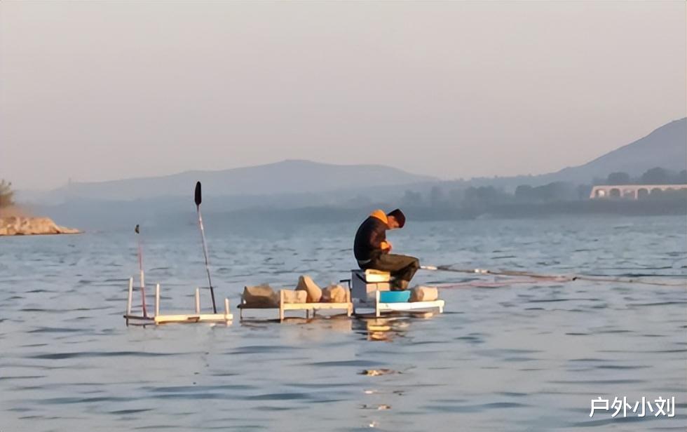 饵料|钓鱼碰到小杂鱼不要慌，刘志强：没有小杂鱼才可怕！