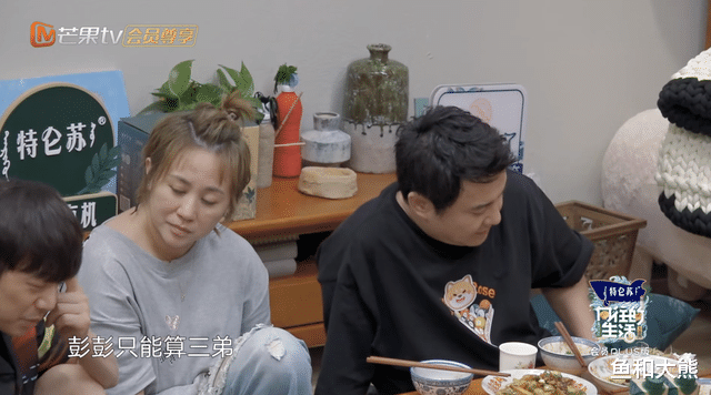 何炅|何炅评价《向往》兄妹，张子枫比张艺兴成熟，彭昱畅被调侃是野狗