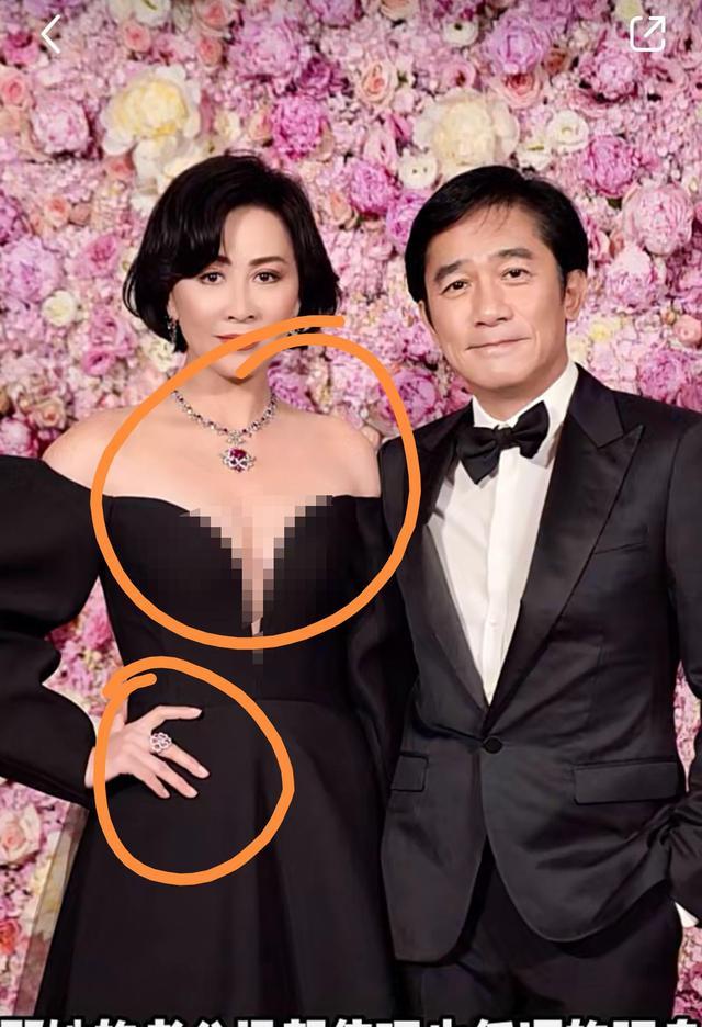 刘嘉玲|刘嘉玲自曝居家隔离，晒疑似梁朝伟视角照片，豪宅外景曝光