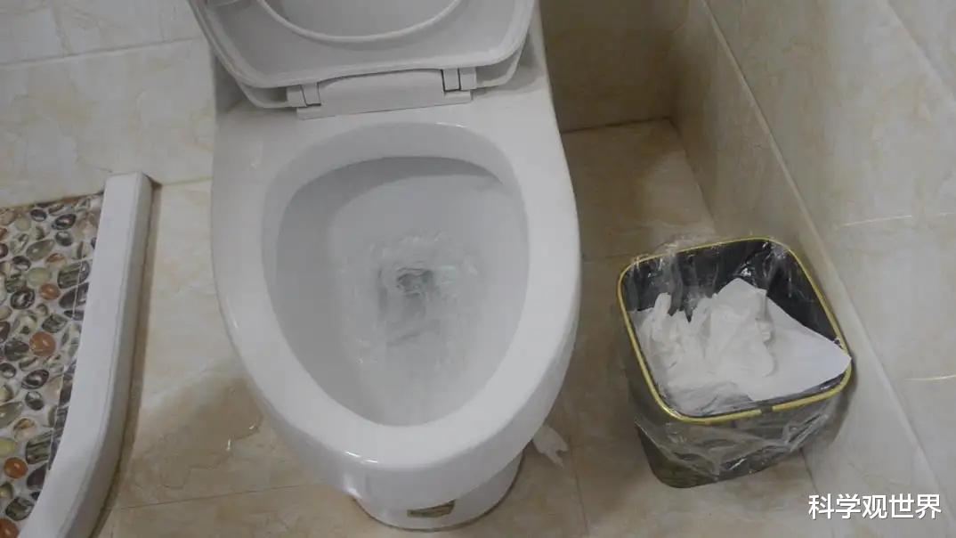 为什么家里的马桶不能把用过的手纸一起冲掉?扔纸篓里真的好吗?