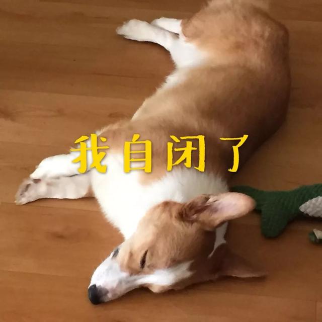 父亲向人借钱,儿子做保证人,是不是签字作保,就要父债子偿?法官说法