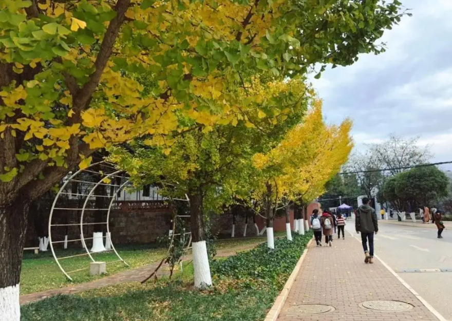 俄罗斯|4大烟草公司，暂停对俄罗斯业务，中国烟草：感谢老铁送来的航母