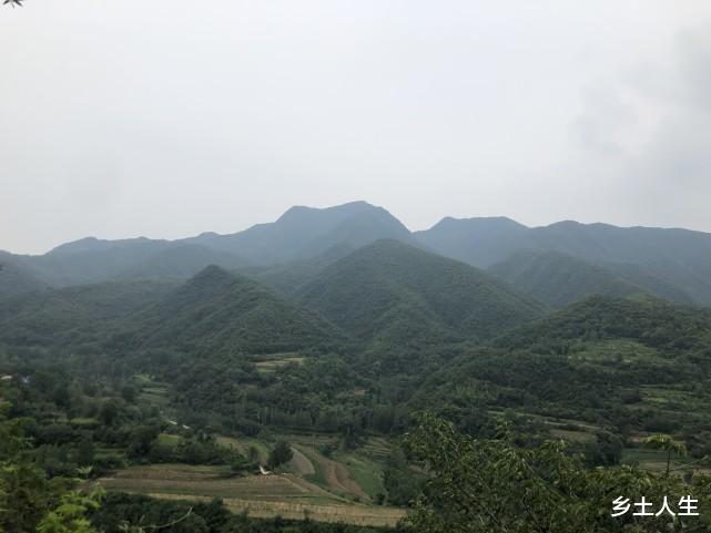 一甲一天地,远看有甲无奇仪,近看“奇仪”不见甲,甲代表什么?