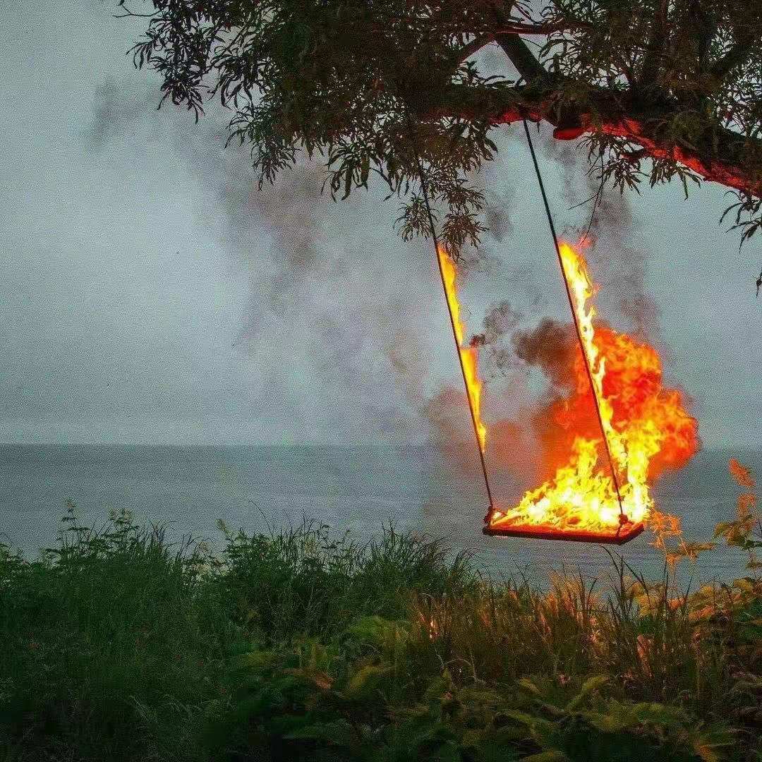 鲸落是鲸鱼留给大海最后的温柔