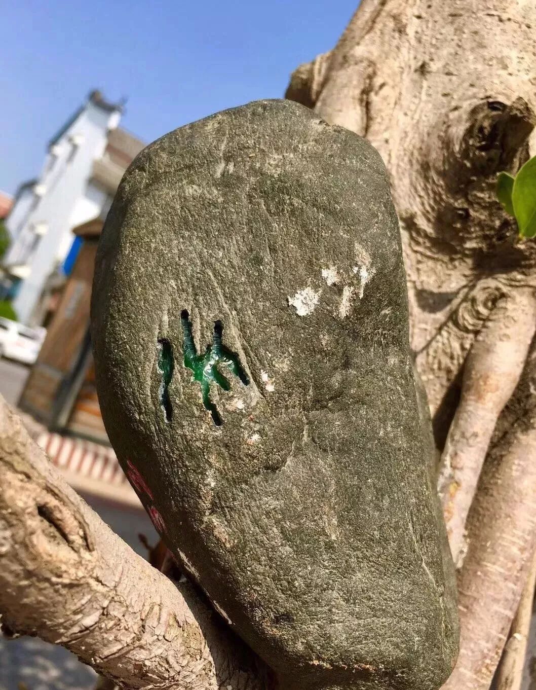 翡翠|顶着38度暴晒从缅甸带回的两块赌石，一刀开出满色阳绿翡翠，值了！