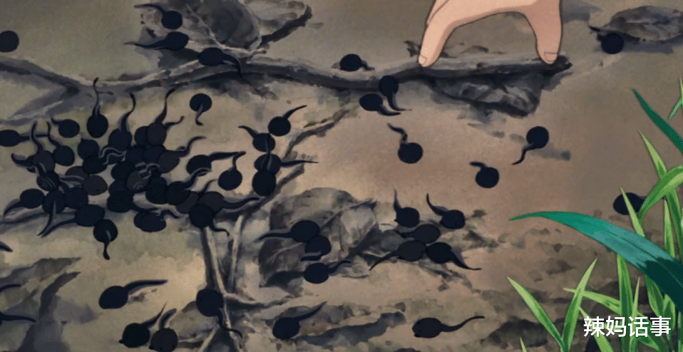 大剑|宫崎骏曾对中国动画非常崇敬，为什么在中国行之后发誓再也不来了