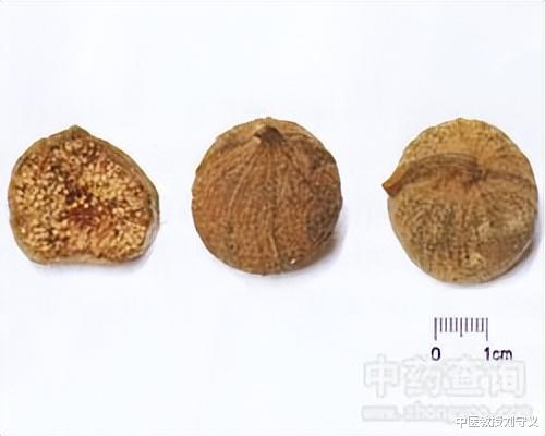 疾病|分享一味很常见的抗癌良药——无花果,药食同源,还能强健脾胃