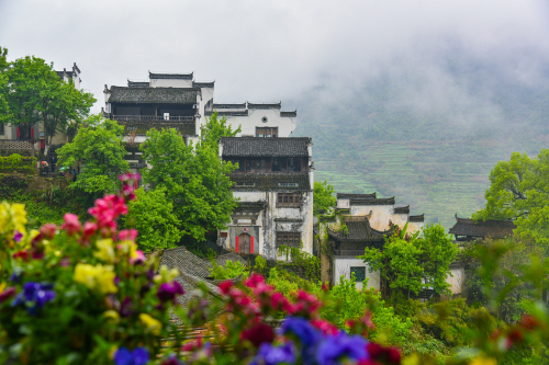 四川省|中国最美的鲜花小镇，每一步都是人间仙境，一定要去走一走