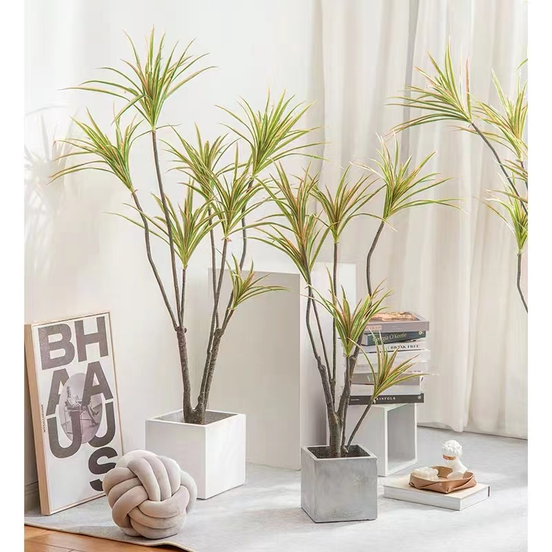 新房装修|最适合你家C位的绿植有哪些呢?