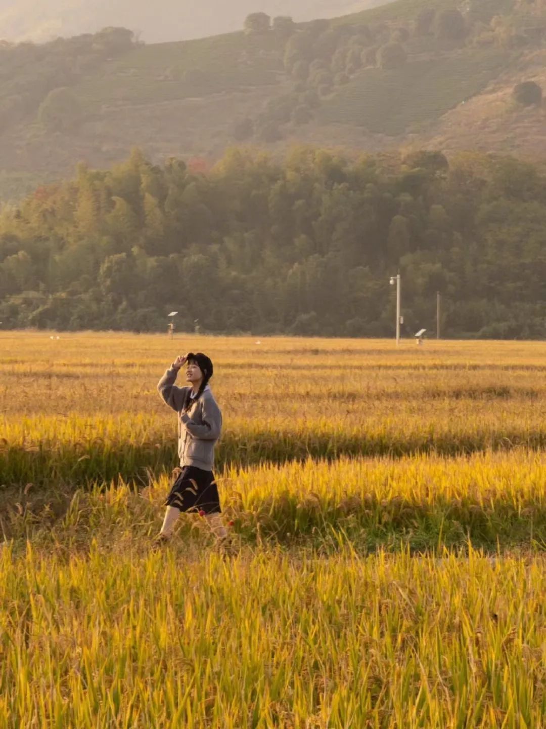 儋州|高铁仅需10min,红叶不输京都,秋冬美食滋补,美到王鹤棣也来打卡