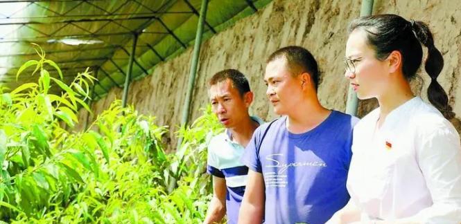 中超|2023年“铁饭碗”排名刷新,公务员未进前五,榜首可比拟高岭之花