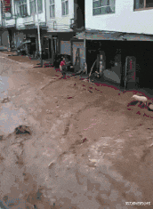 win8|为什么win8后就是win10，win9哪去了？笑死了