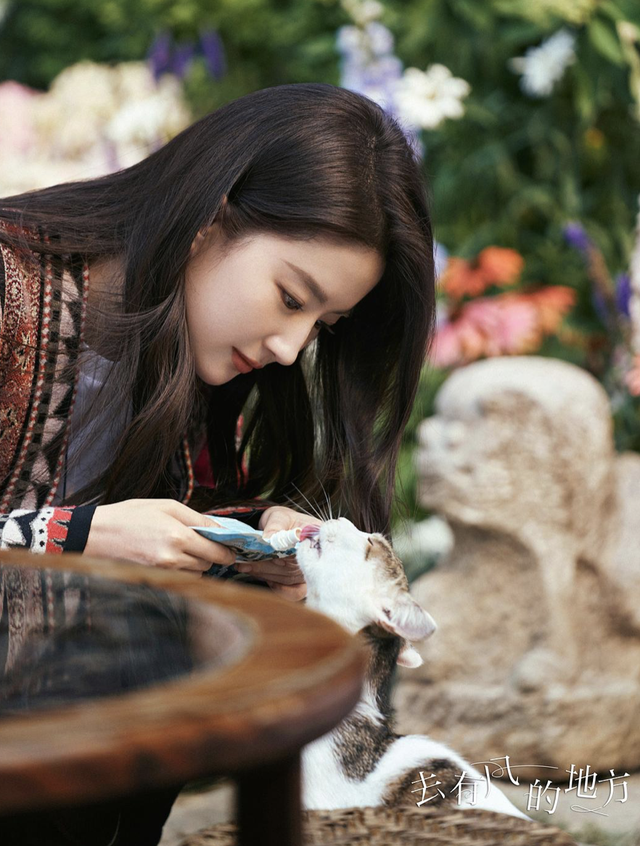 去有风的地方|论植入,《去有风的地方》太肆无忌惮,大logo恨不得怼观众脸上