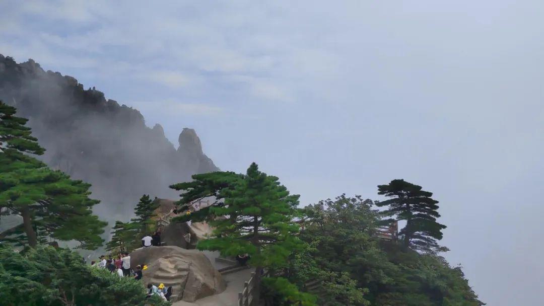 苏州|长江啊长江！没想到你竟是这样的长江！