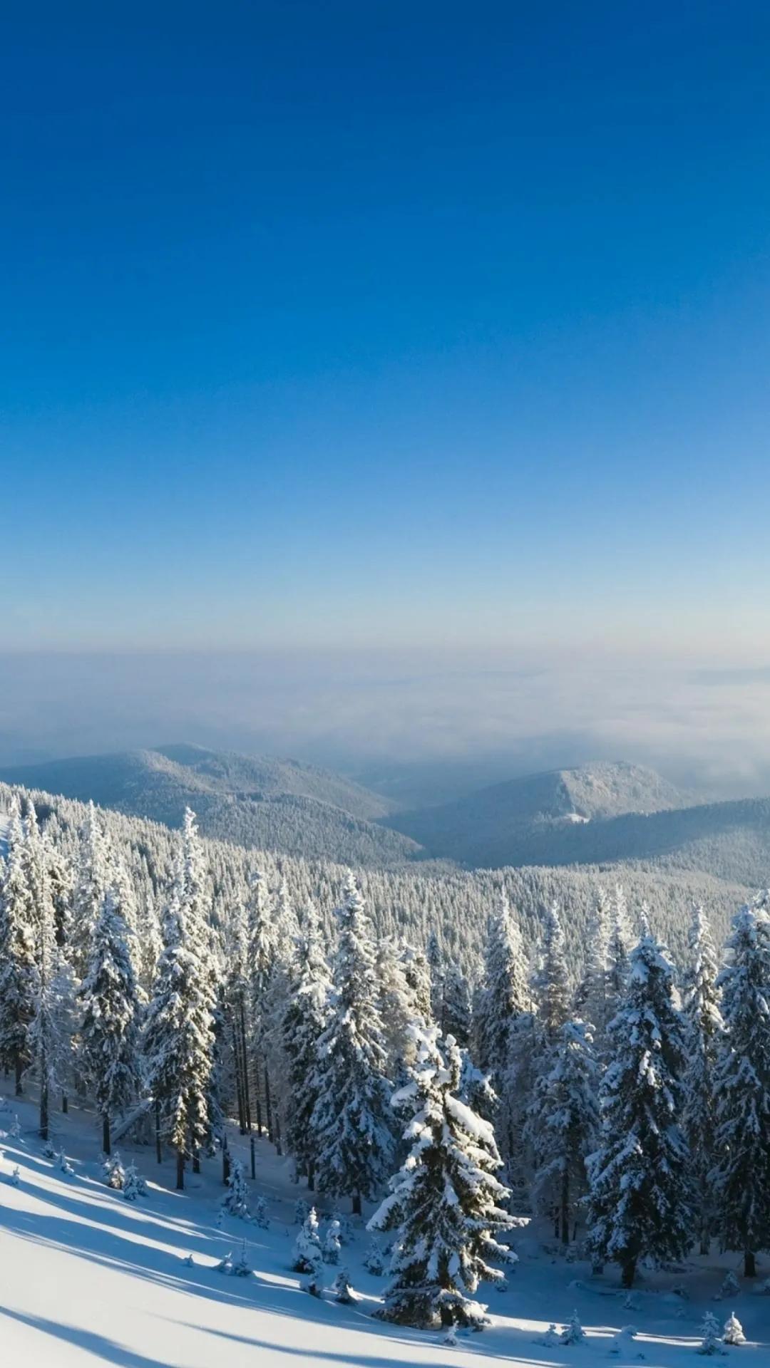 湘湖|小雪时节的胡同(外五首)