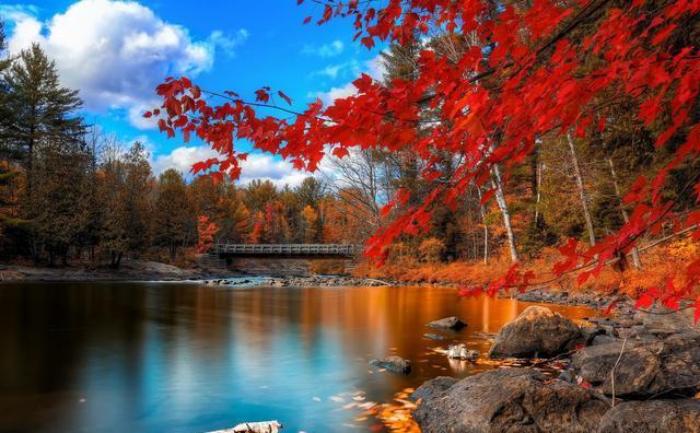 三亚|“傻人有傻福”的星座，纯洁善良没心机